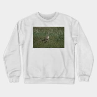 6217 ibis Crewneck Sweatshirt